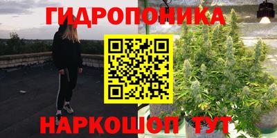 каннабис Кингисепп