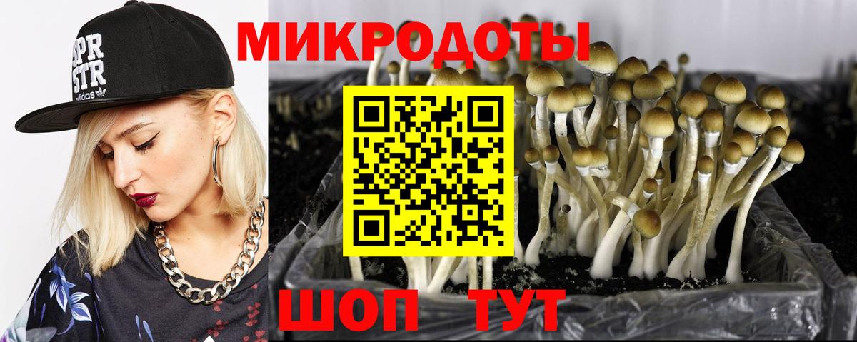 Псилоцибиновые грибы мухоморы Верхний Уфалей